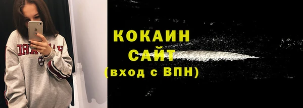 ешки Гусь-Хрустальный
