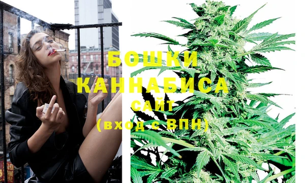 гидра Горнозаводск