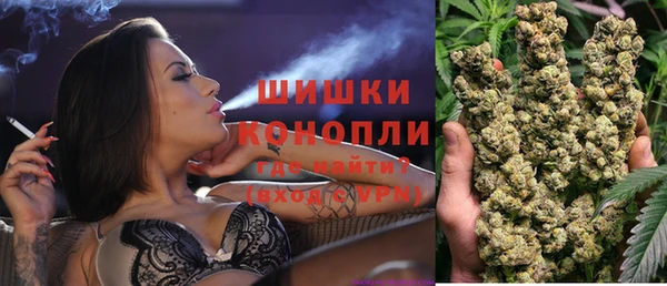 ешки Гусь-Хрустальный