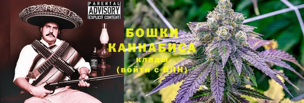 гидра Горнозаводск
