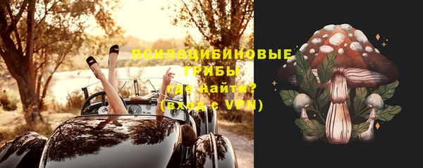спайс Горняк